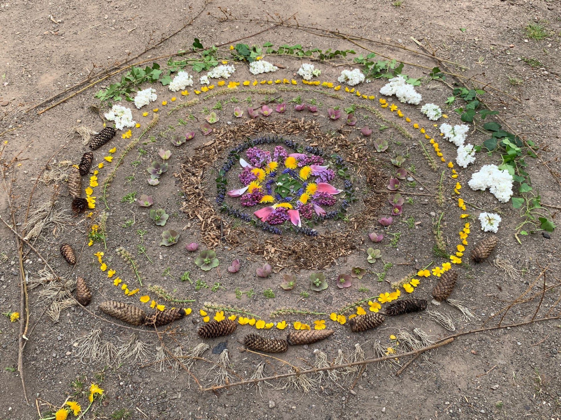 Mandala au jardin partagé Fridolin