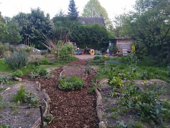 Vue d'ensemble depuis le fond du jardin du bas