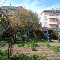 Vue du jardin depuis la cabane en saule