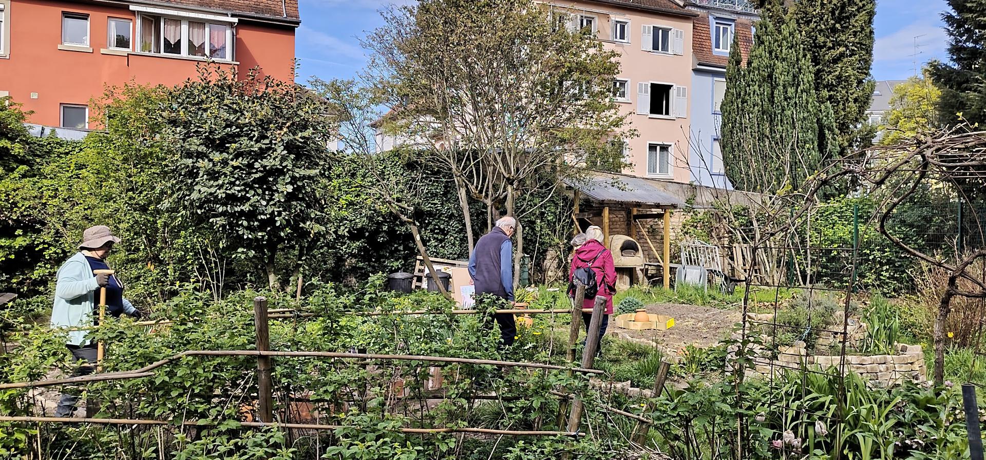 Le jardin au printemps