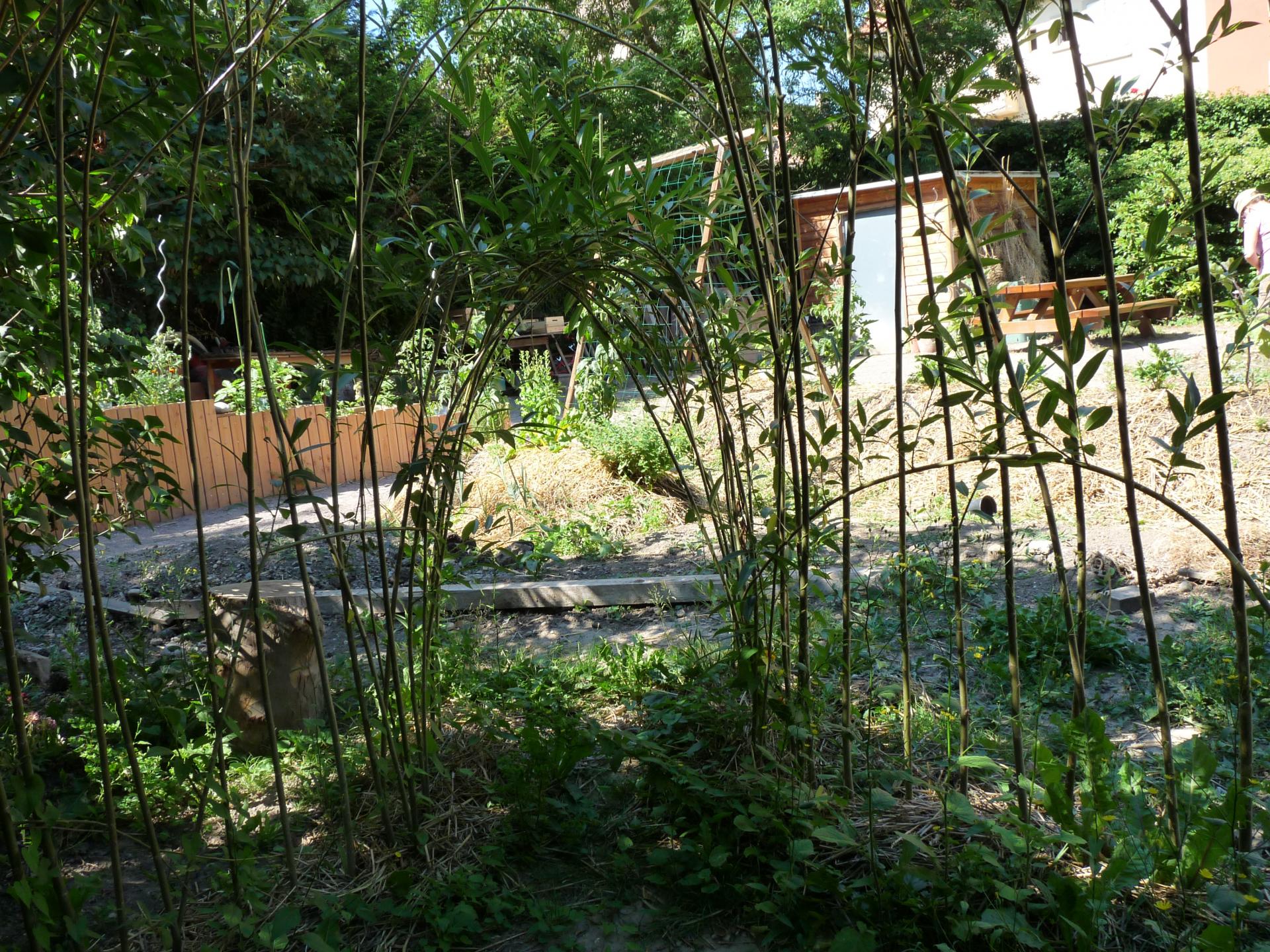 La cabane des lutins