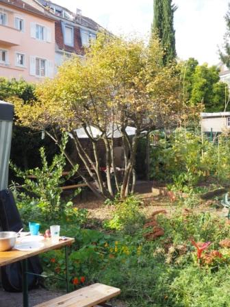 Vue jardin2016 3